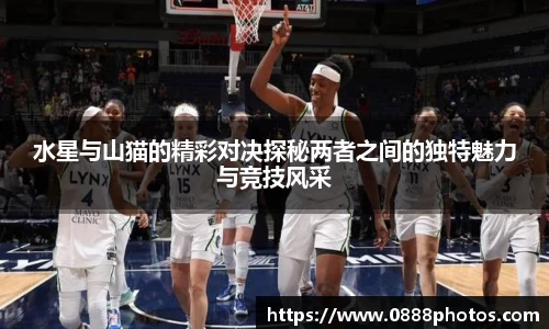 BB贝博ballbet官网